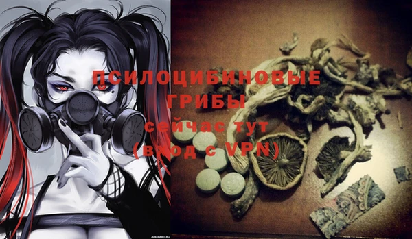 индика Аркадак