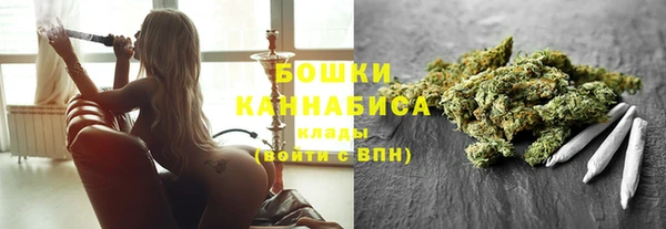 индика Аркадак