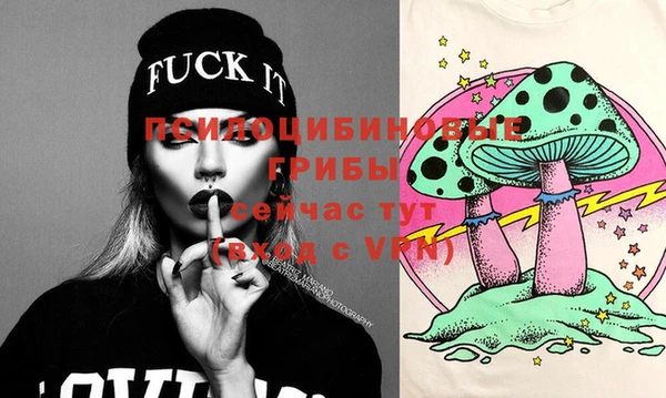 индика Аркадак