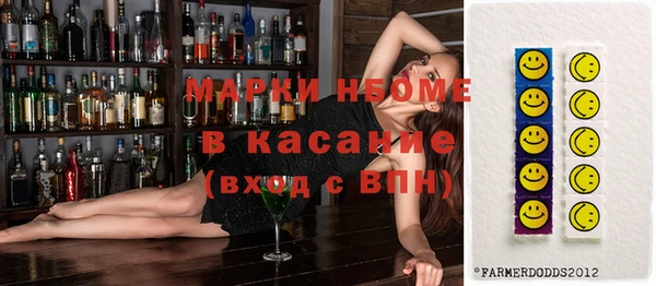 индика Аркадак