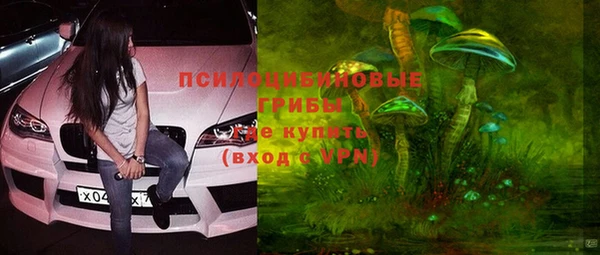 индика Аркадак