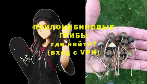 индика Аркадак