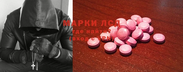 индика Аркадак