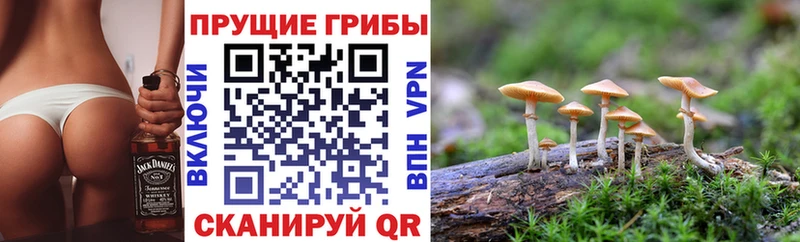 Галлюциногенные грибы прущие грибы  Армянск 